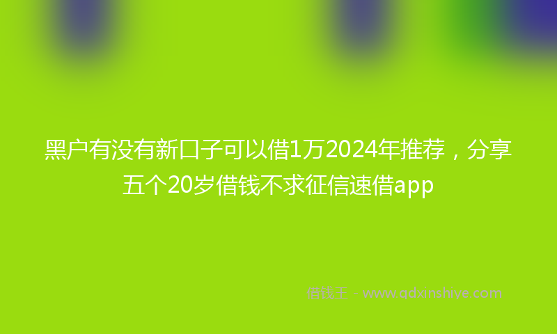 黑户有没有新口子可以借1万2024年推荐，分享五个20岁借钱不求征信速借app
