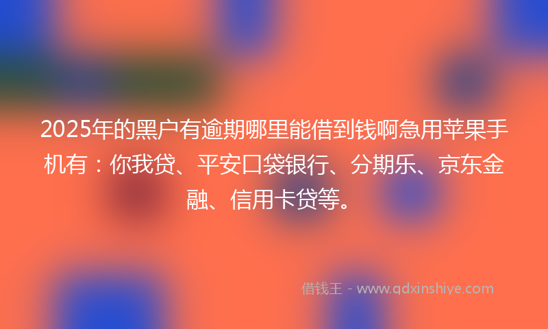 2025年的黑户有逾期哪里能借到钱啊急用苹果手机有：你我贷、平安口袋银行、分期乐、京东金融、信用卡贷等。