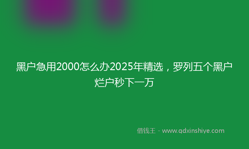 黑户急用2000怎么办2025年精选，罗列五个黑户烂户秒下一万
