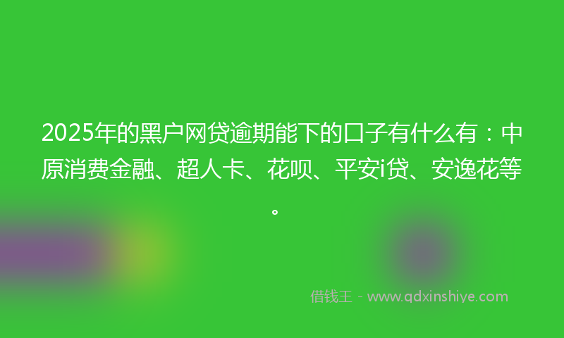 2025年的黑户网贷逾期能下的口子有什么有：中原消费金融、超人卡、花呗、平安i贷、安逸花等。