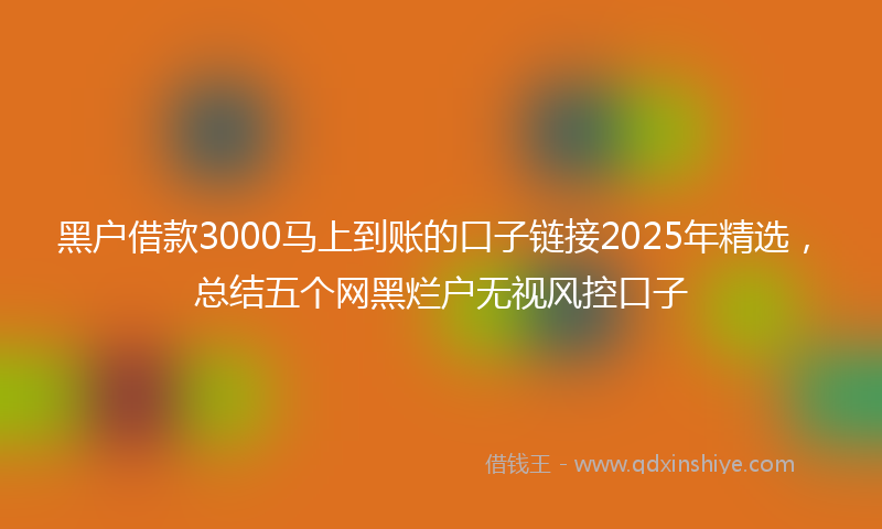 黑户借款3000马上到账的口子链接2025年精选，总结五个网黑烂户无视风控口子