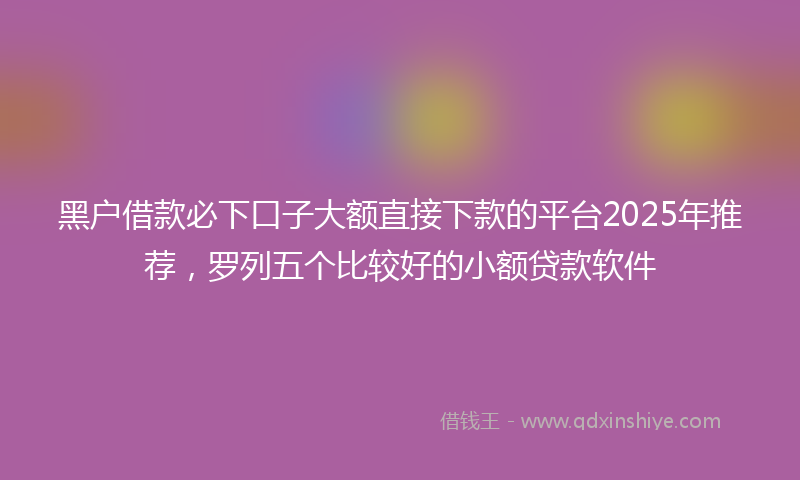 黑户借款必下口子大额直接下款的平台2025年推荐，罗列五个比较好的小额贷款软件
