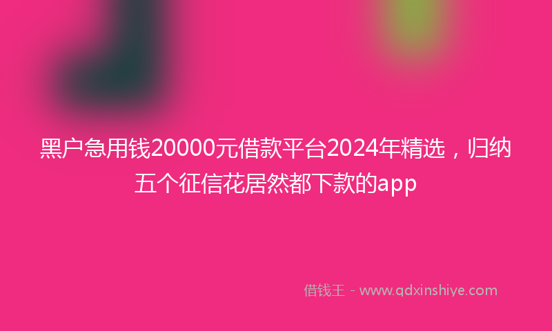 黑户急用钱20000元借款平台2024年精选，归纳五个征信花居然都下款的app
