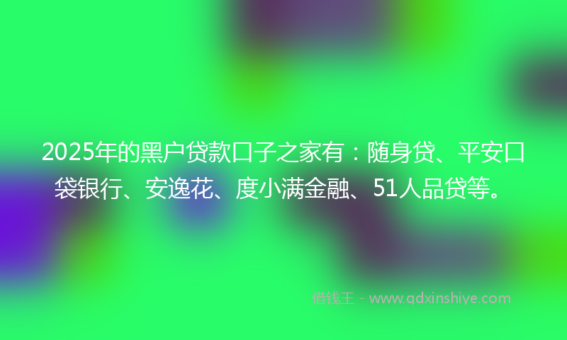 2025年的黑户贷款口子之家有：随身贷、平安口袋银行、安逸花、度小满金融、51人品贷等。