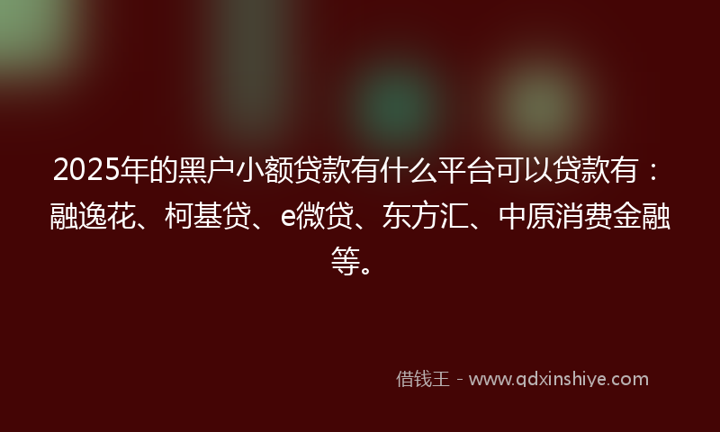 2025年的黑户小额贷款有什么平台可以贷款有：融逸花、柯基贷、e微贷、东方汇、中原消费金融等。