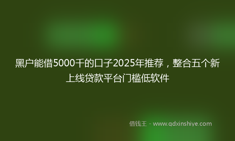 黑户能借5000千的口子2025年推荐，整合五个新上线贷款平台门槛低软件