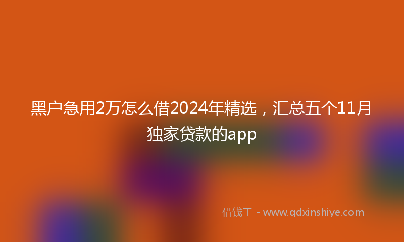 黑户急用2万怎么借2024年精选，汇总五个11月独家贷款的app