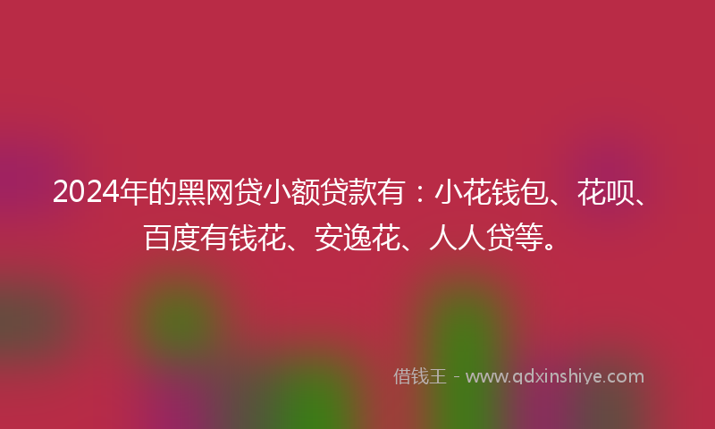 2024年的黑网贷小额贷款有：小花钱包、花呗、百度有钱花、安逸花、人人贷等。