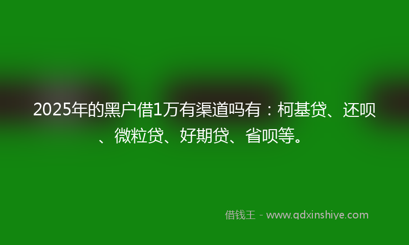 2025年的黑户借1万有渠道吗有：柯基贷、还呗、微粒贷、好期贷、省呗等。