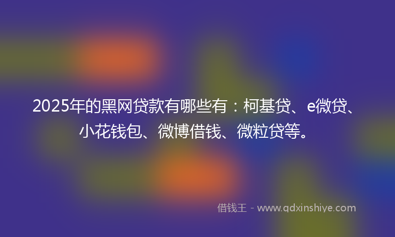 2025年的黑网贷款有哪些有：柯基贷、e微贷、小花钱包、微博借钱、微粒贷等。