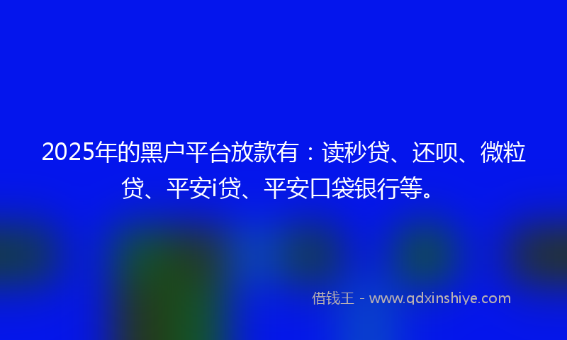 2025年的黑户平台放款有：读秒贷、还呗、微粒贷、平安i贷、平安口袋银行等。