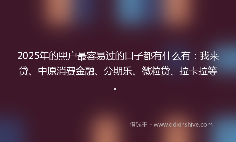 2025年的黑户最容易过的口子都有什么有：我来贷、中原消费金融、分期乐、微粒贷、拉卡拉等。