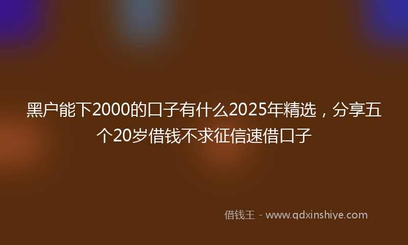 黑户能下2000的口子有什么2025年精选，分享五个20岁借钱不求征信速借口子