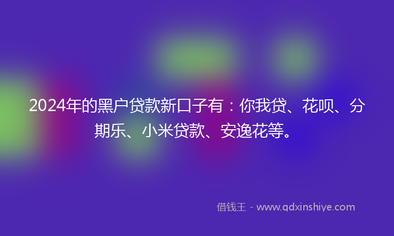 2024年的黑户贷款新口子有：你我贷、花呗、分期乐、小米贷款、安逸花等。