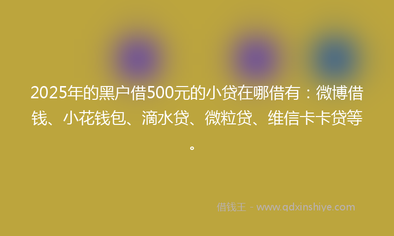 2025年的黑户借500元的小贷在哪借有：微博借钱、小花钱包、滴水贷、微粒贷、维信卡卡贷等。