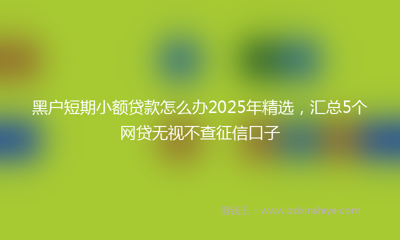 黑户短期小额贷款怎么办2025年精选，汇总5个网贷无视不查征信口子