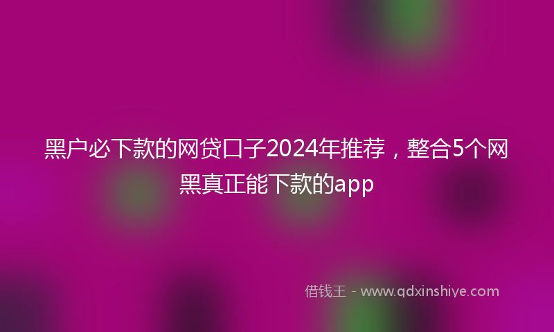 黑户必下款的网贷口子2024年推荐，整合5个网黑真正能下款的app