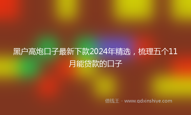 黑户高炮口子最新下款2024年精选，梳理五个11月能贷款的口子