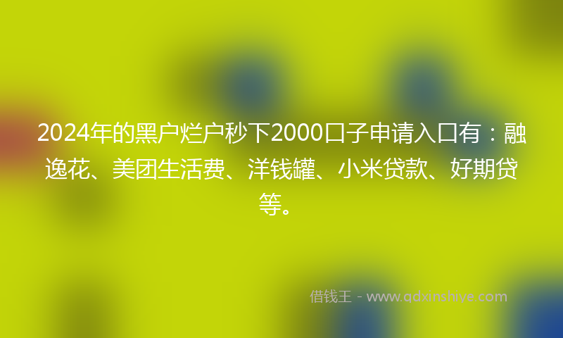 2024年的黑户烂户秒下2000口子申请入口有：融逸花、美团生活费、洋钱罐、小米贷款、好期贷等。