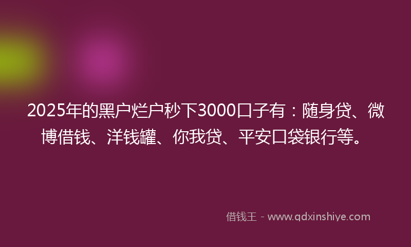2025年的黑户烂户秒下3000口子有：随身贷、微博借钱、洋钱罐、你我贷、平安口袋银行等。