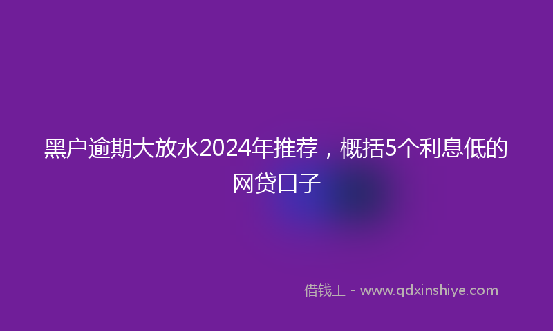 黑户逾期大放水2024年推荐，概括5个利息低的网贷口子