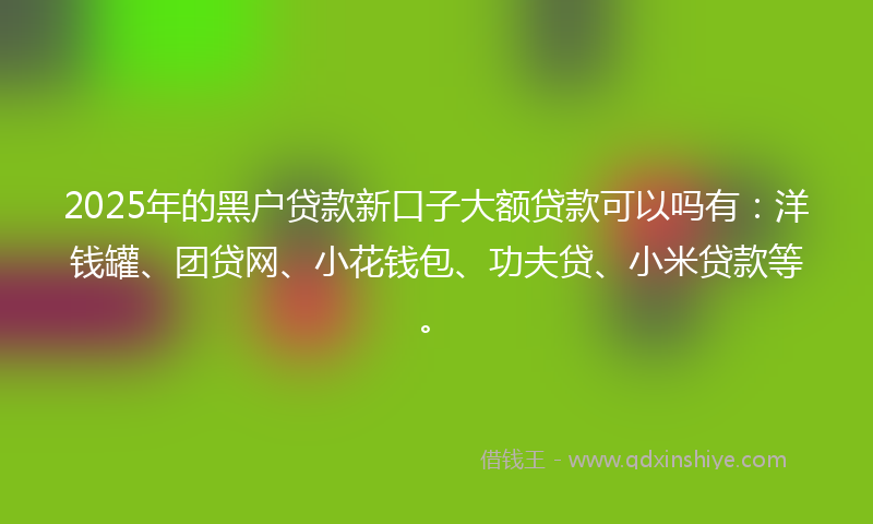 2025年的黑户贷款新口子大额贷款可以吗有：洋钱罐、团贷网、小花钱包、功夫贷、小米贷款等。