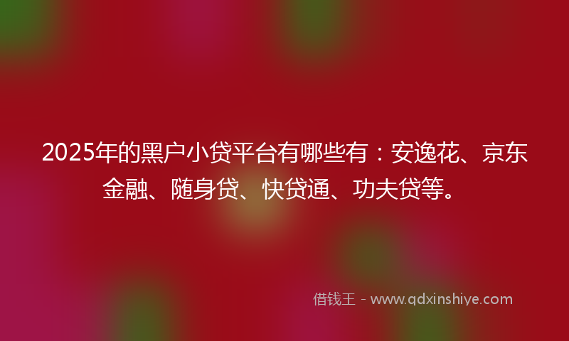 2025年的黑户小贷平台有哪些有：安逸花、京东金融、随身贷、快贷通、功夫贷等。