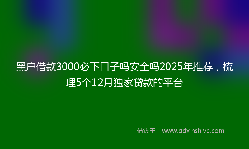 黑户借款3000必下口子吗安全吗2025年推荐，梳理5个12月独家贷款的平台