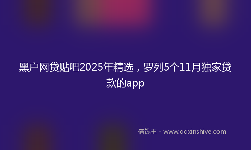 黑户网贷贴吧2025年精选，罗列5个11月独家贷款的app