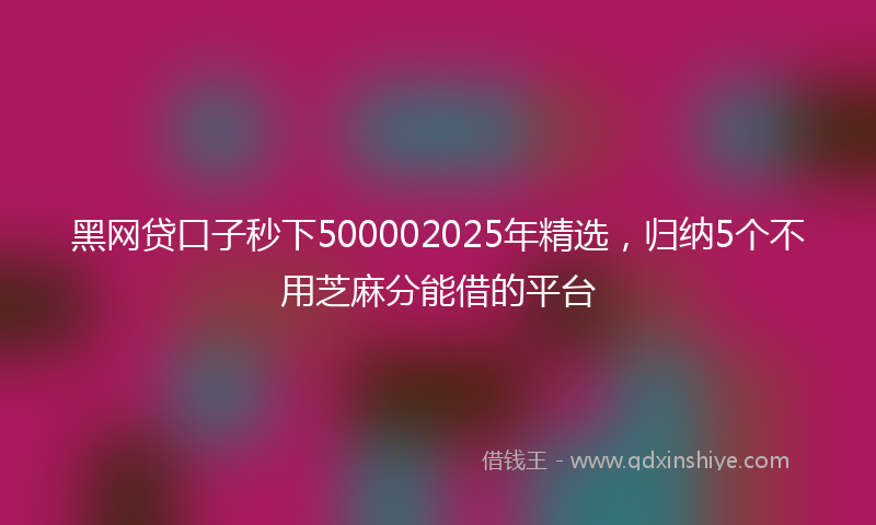 黑网贷口子秒下500002025年精选，归纳5个不用芝麻分能借的平台