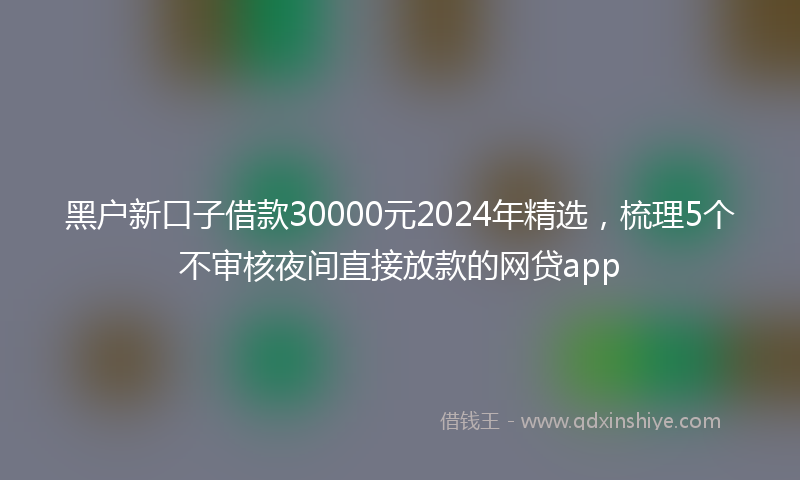 黑户新口子借款30000元2024年精选，梳理5个不审核夜间直接放款的网贷app