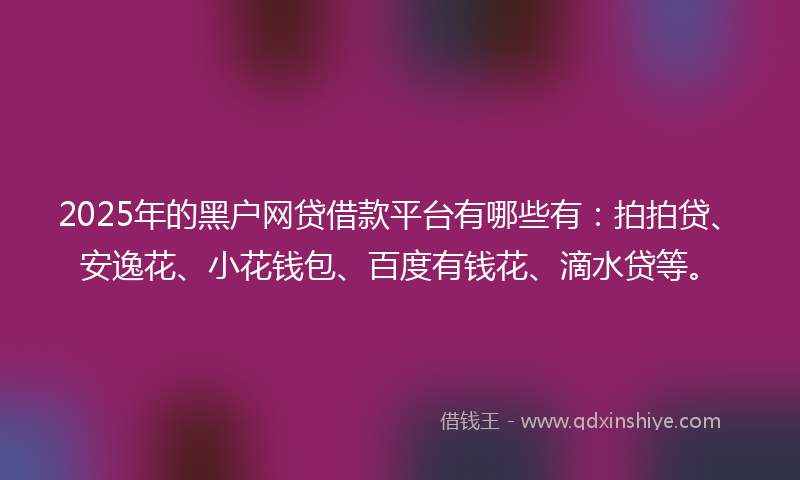 2025年的黑户网贷借款平台有哪些有：拍拍贷、安逸花、小花钱包、百度有钱花、滴水贷等。