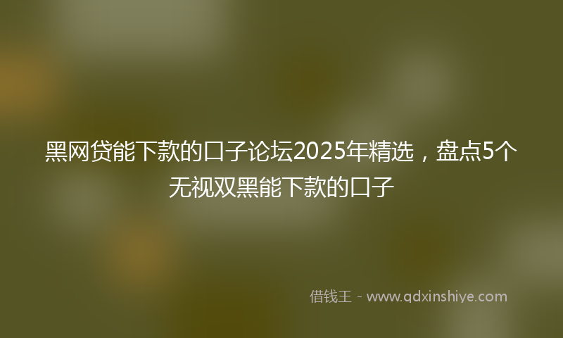 黑网贷能下款的口子论坛2025年精选，盘点5个无视双黑能下款的口子