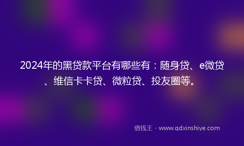 2024年的黑贷款平台有哪些有：随身贷、e微贷、维信卡卡贷、微粒贷、投友圈等。