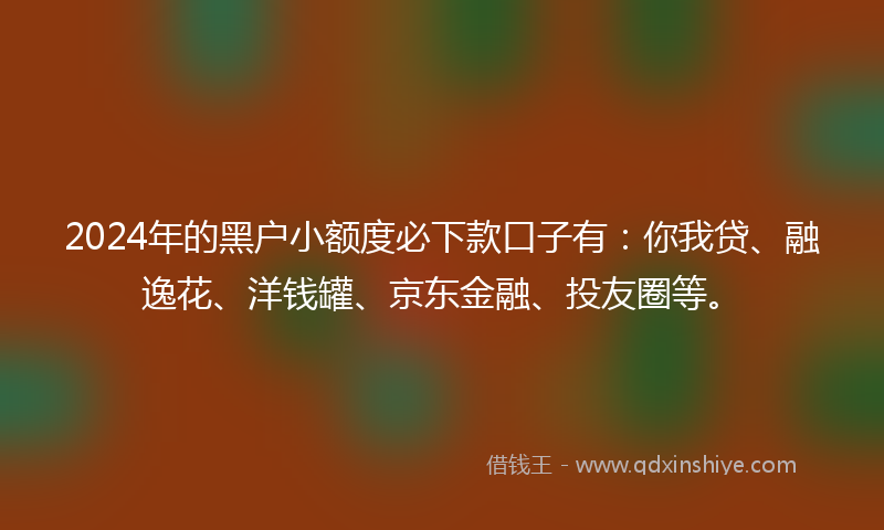 2024年的黑户小额度必下款口子有：你我贷、融逸花、洋钱罐、京东金融、投友圈等。