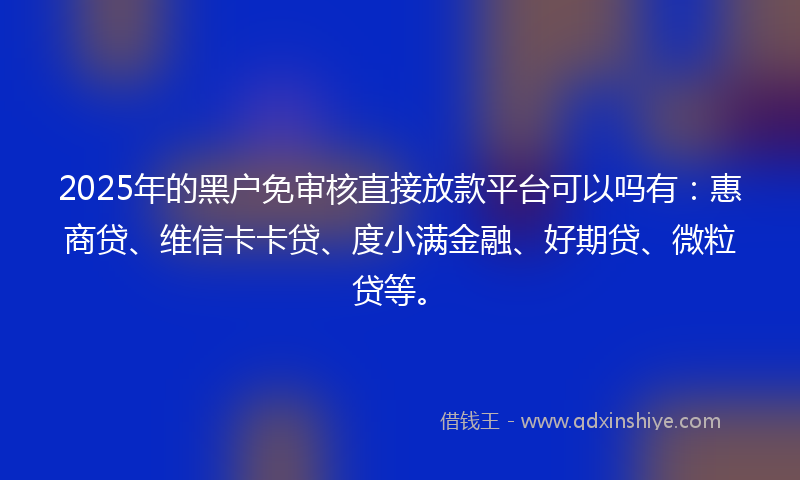 2025年的黑户免审核直接放款平台可以吗有：惠商贷、维信卡卡贷、度小满金融、好期贷、微粒贷等。