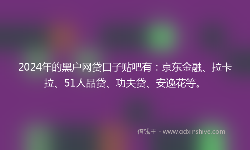 2024年的黑户网贷口子贴吧有：京东金融、拉卡拉、51人品贷、功夫贷、安逸花等。