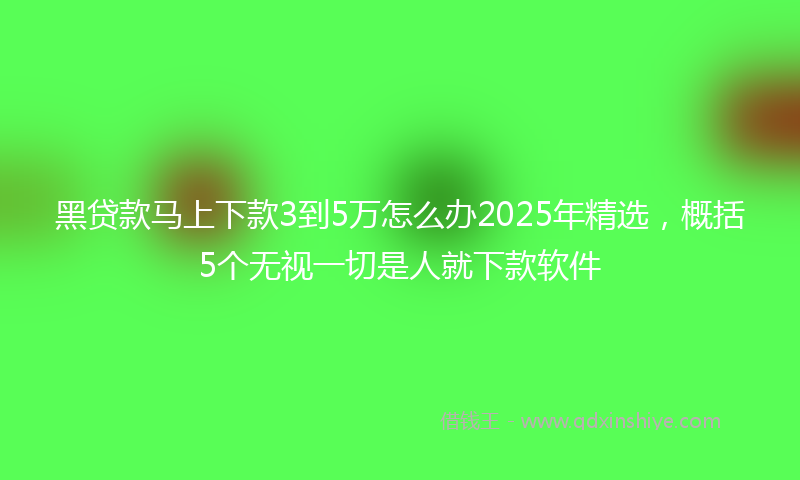黑贷款马上下款3到5万怎么办2025年精选，概括5个无视一切是人就下款软件
