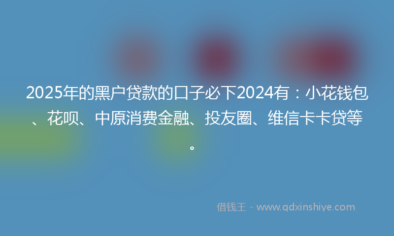 2025年的黑户贷款的口子必下2024有：小花钱包、花呗、中原消费金融、投友圈、维信卡卡贷等。