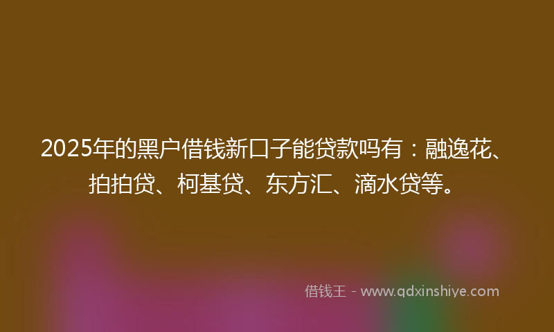 2025年的黑户借钱新口子能贷款吗有：融逸花、拍拍贷、柯基贷、东方汇、滴水贷等。