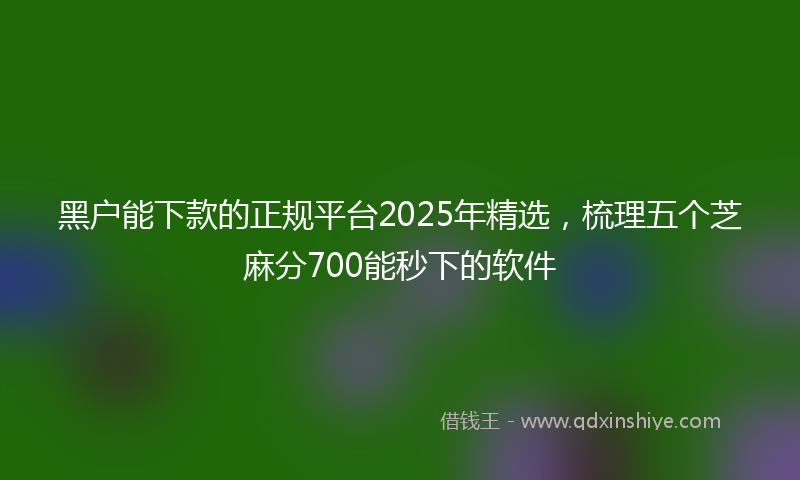 黑户能下款的正规平台2025年精选，梳理五个芝麻分700能秒下的软件