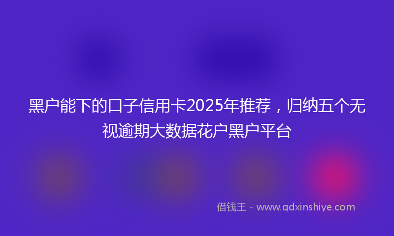 黑户能下的口子信用卡2025年推荐，归纳五个无视逾期大数据花户黑户平台