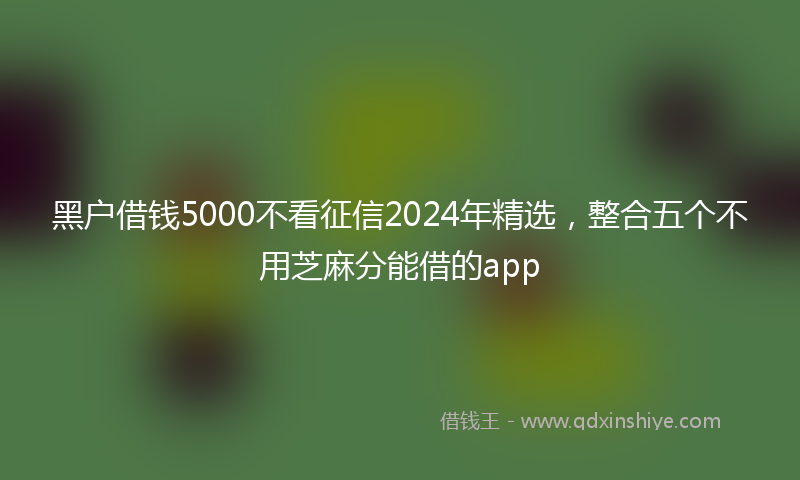 黑户借钱5000不看征信2024年精选，整合五个不用芝麻分能借的app