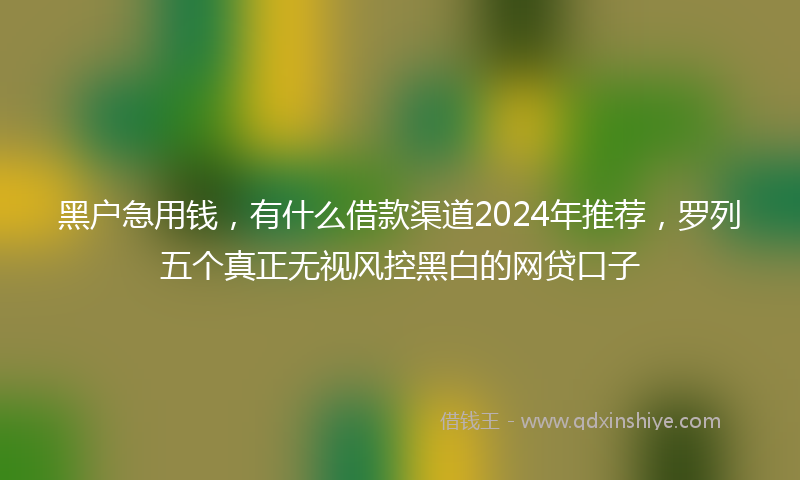 黑户急用钱，有什么借款渠道2024年推荐，罗列五个真正无视风控黑白的网贷口子