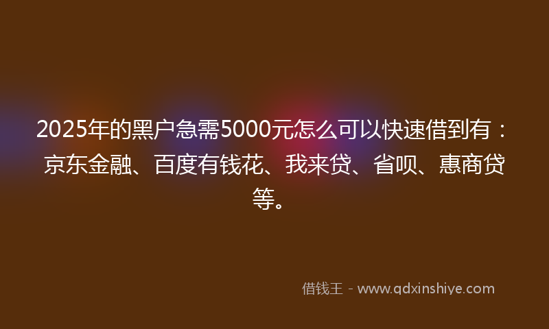 2025年的黑户急需5000元怎么可以快速借到有：京东金融、百度有钱花、我来贷、省呗、惠商贷等。