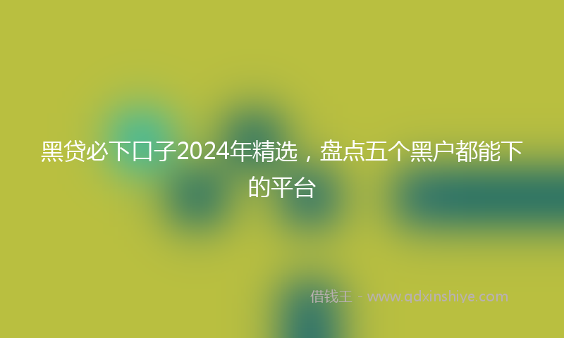 黑贷必下口子2024年精选，盘点五个黑户都能下的平台