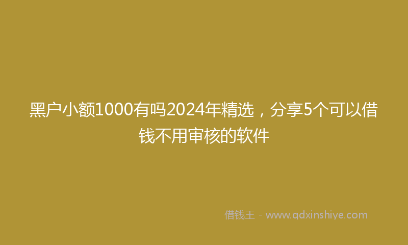 黑户小额1000有吗2024年精选，分享5个可以借钱不用审核的软件