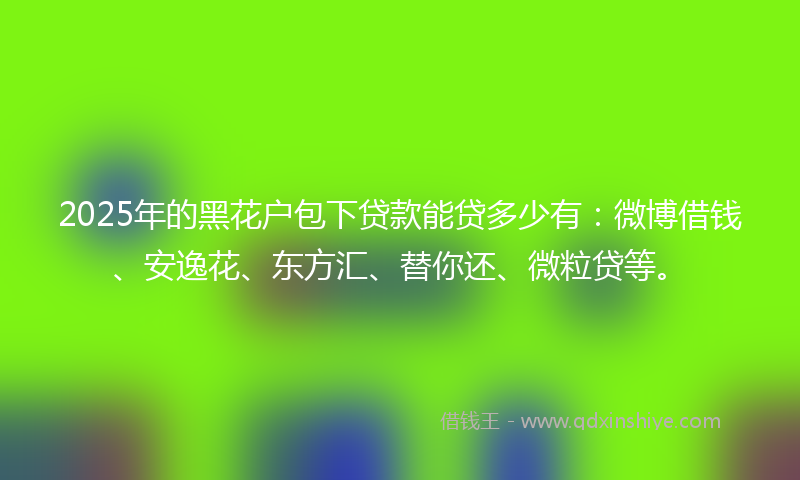 2025年的黑花户包下贷款能贷多少有：微博借钱、安逸花、东方汇、替你还、微粒贷等。