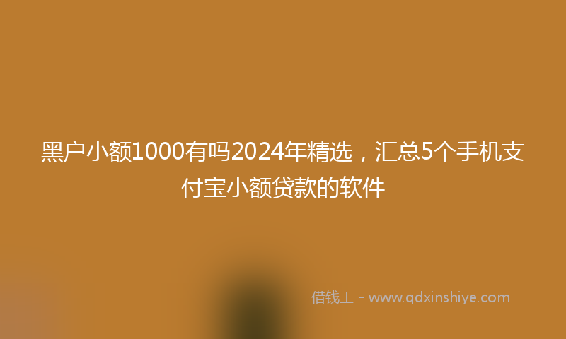 黑户小额1000有吗2024年精选，汇总5个手机支付宝小额贷款的软件
