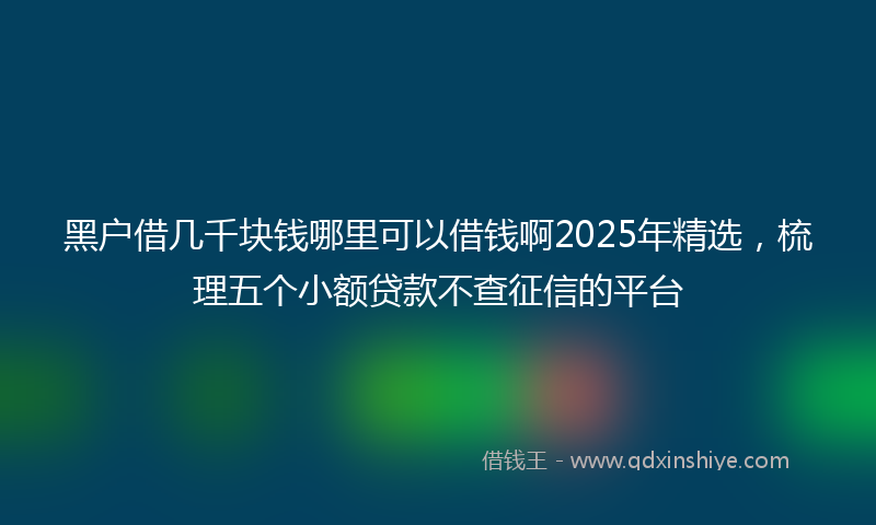 黑户借几千块钱哪里可以借钱啊2025年精选，梳理五个小额贷款不查征信的平台